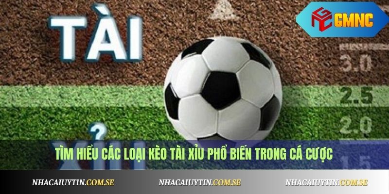 Kèo Tài Xỉu Chi Tiết: Cách Chơi, Mẹo Thắng Cược Hiệu Quả 2 Tìm hiểu các loại kèo tài xỉu phổ biến trong cá cược