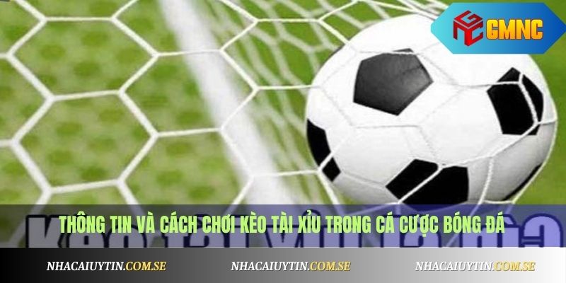 Kèo tài xỉu