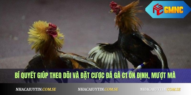 Đá Gà C1 Là Gì? Cách Cá Cược Và Xem Gà Đá Hay Nhất 4 Bí quyết giúp theo dõi và đặt cược đá gà C1 ổn định, mượt mà