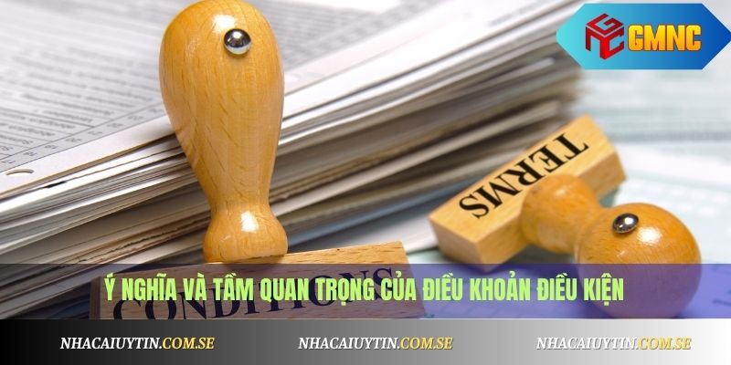 Điều Khoản Điều Kiện 1 Ý nghĩa và tầm quan trọng của điều khoản điều kiện