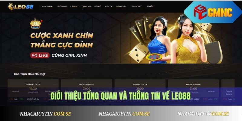 Leo88 - Review Nhà Cái Leo88, Hỗ Trợ Game Thể Thao Hot 2 Giới thiệu tổng quan và thông tin về Leo88